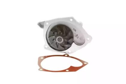 Водяной насос / прокладка AISIN для NISSAN PRIMERA Hatchback (P12) 1.9 dCi